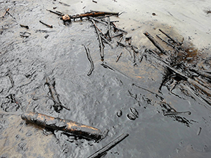 The Aguarico River after the oil spill