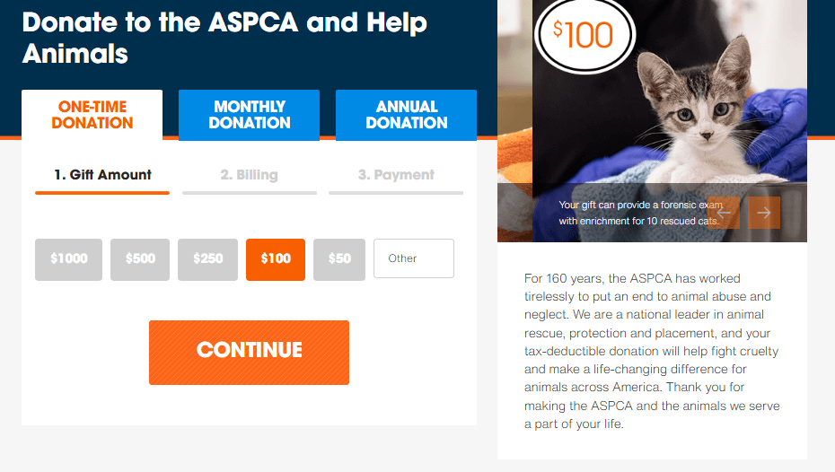 The ASPCA online donation form, with the $100 donation amount highlighted. A photo of a kitten is shown with a message saying, “Your gift can provide a forensic exam with enrichment for 10 rescued cats.