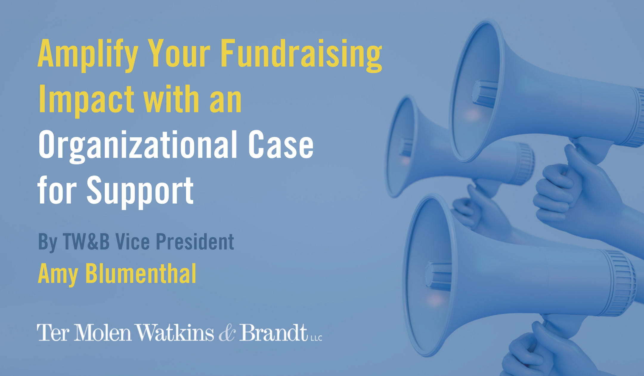Amplify Your Fundraising Impact with an Organizational Case for Support